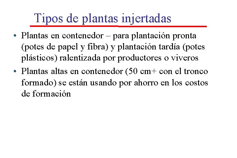 Tipos de plantas injertadas • Plantas en contenedor – para plantación pronta (potes de Tipos de plantas injertadas • Plantas en contenedor – para plantación pronta (potes de