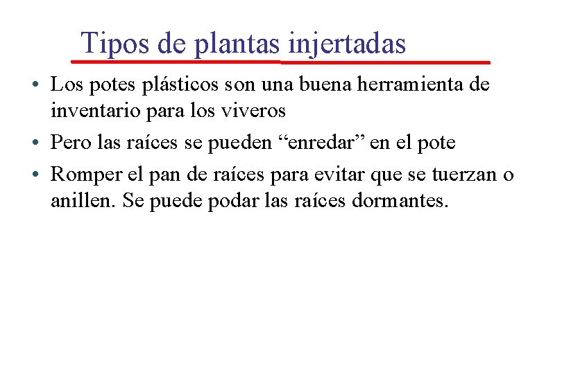 Tipos de plantas injertadas • Los potes plásticos son una buena herramienta de inventario Tipos de plantas injertadas • Los potes plásticos son una buena herramienta de inventario