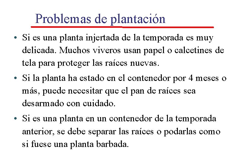 Problemas de plantación • Si es una planta injertada de la temporada es muy Problemas de plantación • Si es una planta injertada de la temporada es muy