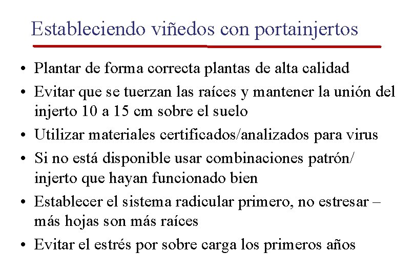Estableciendo viñedos con portainjertos • Plantar de forma correcta plantas de alta calidad • Estableciendo viñedos con portainjertos • Plantar de forma correcta plantas de alta calidad •