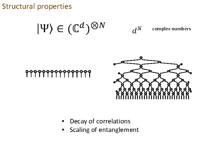 Structural properties • Decay of correlations • Scaling of entanglement complex numbers 