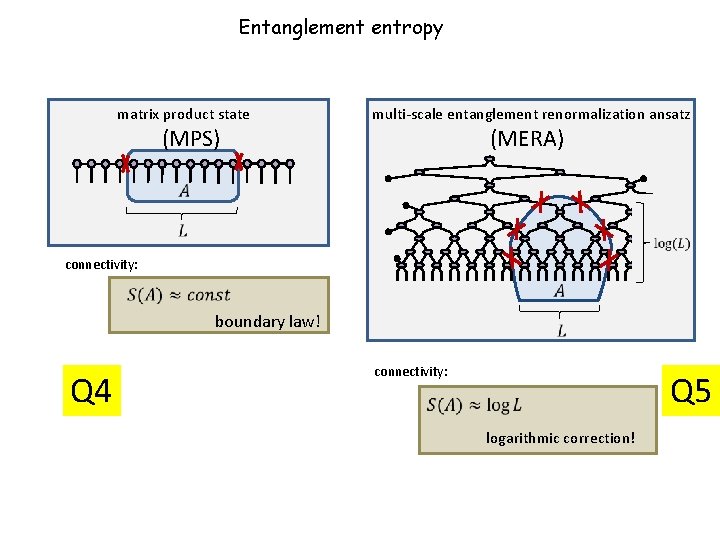 Entanglement entropy matrix product state (MPS) multi-scale entanglement renormalization ansatz (MERA) connectivity: boundary law!