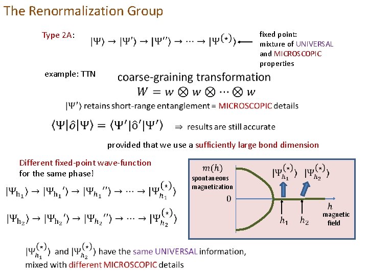 The Renormalization Group Type 2 A: fixed point: mixture of UNIVERSAL and MICROSCOPIC properties