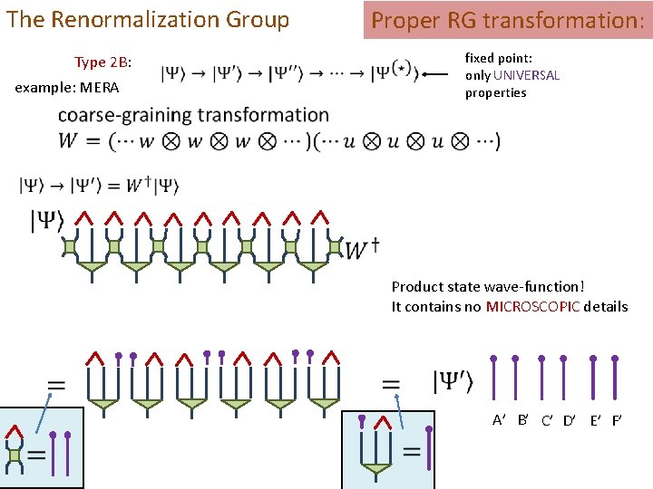 The Renormalization Group Type 2 B: example: MERA Proper RG transformation: fixed point: only
