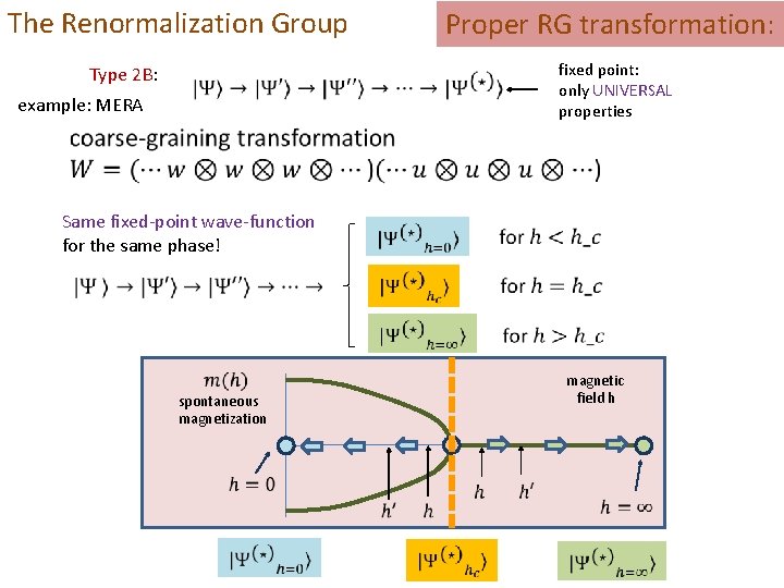 The Renormalization Group Type 2 B: example: MERA Proper RG transformation: fixed point: only