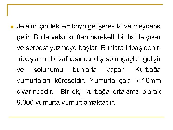 n Jelatin içindeki embriyo gelişerek larva meydana gelir. Bu larvalar kılıftan hareketli bir halde