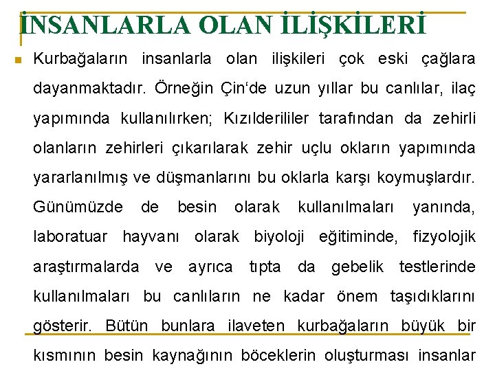 İNSANLARLA OLAN İLİŞKİLERİ n Kurbağaların insanlarla olan ilişkileri çok eski çağlara dayanmaktadır. Örneğin Çin‘de