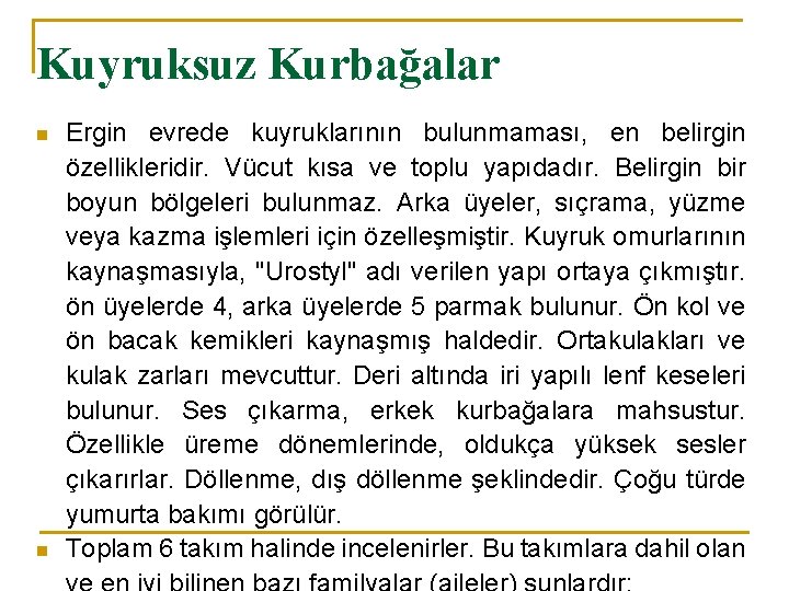 Kuyruksuz Kurbağalar n n Ergin evrede kuyruklarının bulunmaması, en belirgin özellikleridir. Vücut kısa ve