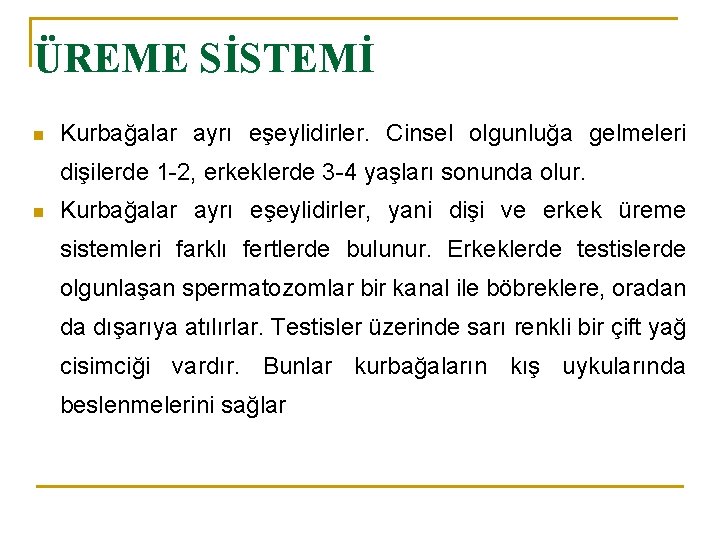 ÜREME SİSTEMİ n Kurbağalar ayrı eşeylidirler. Cinsel olgunluğa gelmeleri dişilerde 1 -2, erkeklerde 3