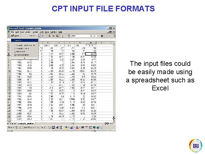 CPT INPUT FILE FORMATS The input files could be easily made using a spreadsheet