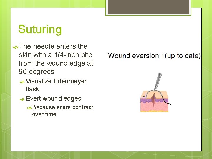 Suturing The needle enters the skin with a 1/4 -inch bite from the wound