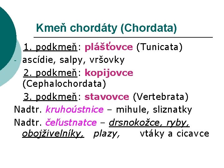 Kmeň chordáty (Chordata) 1. podkmeň: plášťovce (Tunicata) - ascídie, salpy, vršovky 2. podkmeň: kopijovce