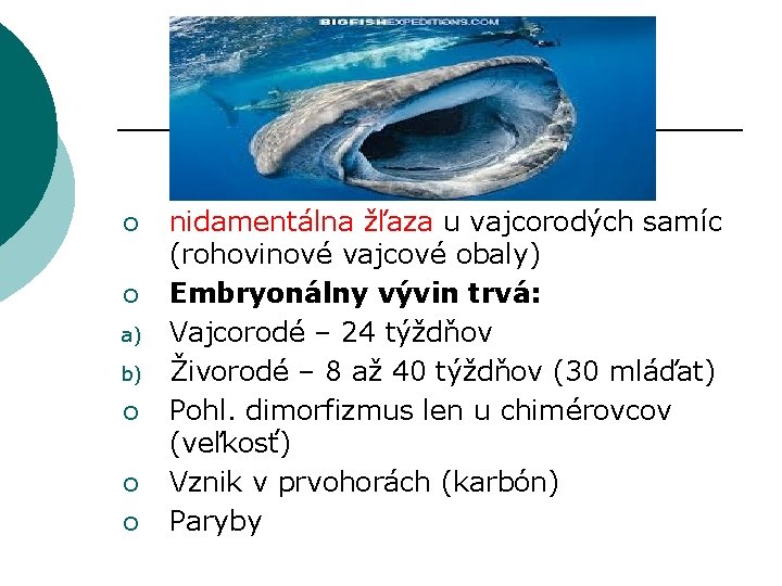 ¡ ¡ a) b) ¡ ¡ ¡ nidamentálna žľaza u vajcorodých samíc (rohovinové vajcové