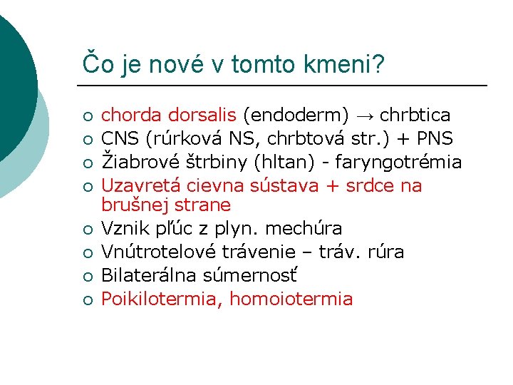 Čo je nové v tomto kmeni? ¡ ¡ ¡ ¡ chorda dorsalis (endoderm) →