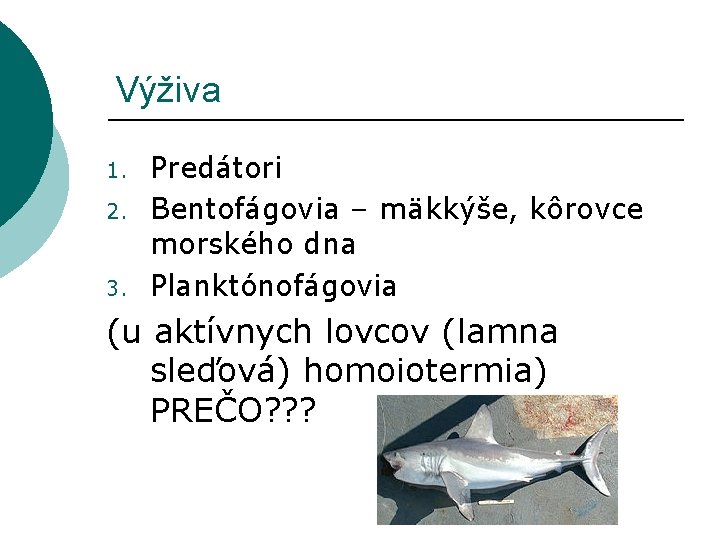 Výživa 1. 2. 3. Predátori Bentofágovia – mäkkýše, kôrovce morského dna Planktónofágovia (u aktívnych