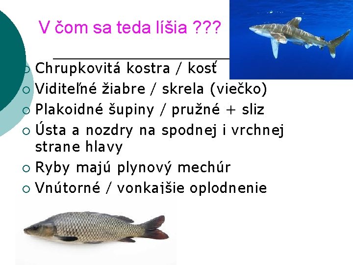 V čom sa teda líšia ? ? ? Chrupkovitá kostra / kosť ¡ Viditeľné