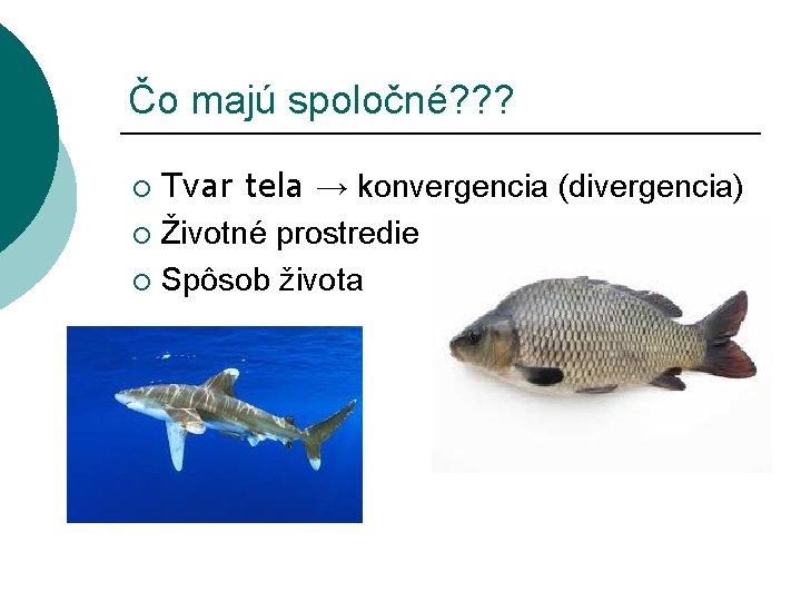 Čo majú spoločné? ? ? Tvar tela → konvergencia (divergencia) ¡ Životné prostredie ¡