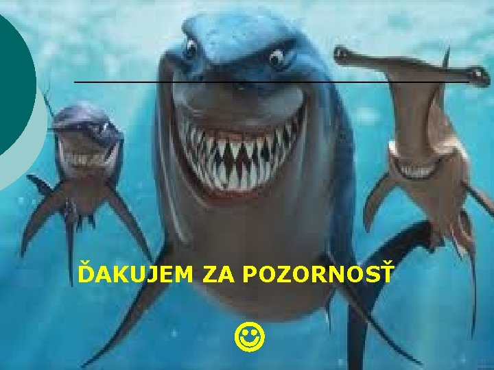 ĎAKUJEM ZA POZORNOSŤ 