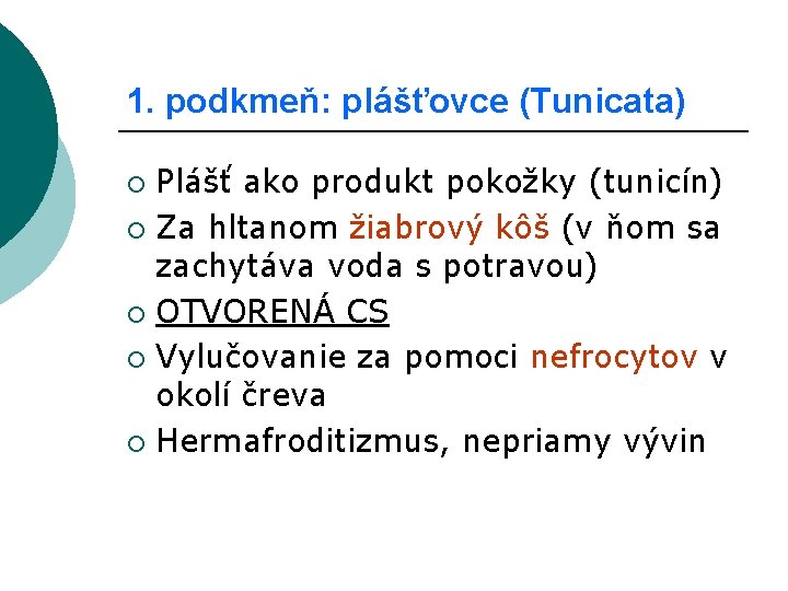 1. podkmeň: plášťovce (Tunicata) Plášť ako produkt pokožky (tunicín) ¡ Za hltanom žiabrový kôš