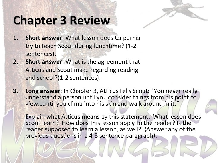 Chapter 3 Review 1. 2. 3. Short answer: What lesson does Calpurnia try to