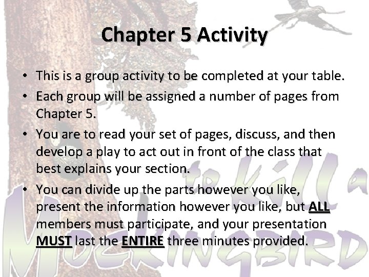 Chapter 5 Activity • This is a group activity to be completed at your