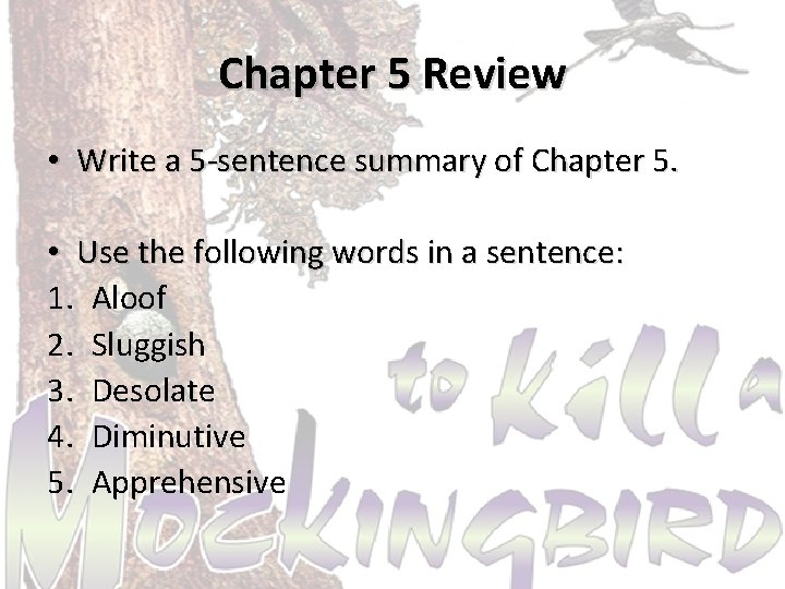 Chapter 5 Review • Write a 5 -sentence summary of Chapter 5. • Use