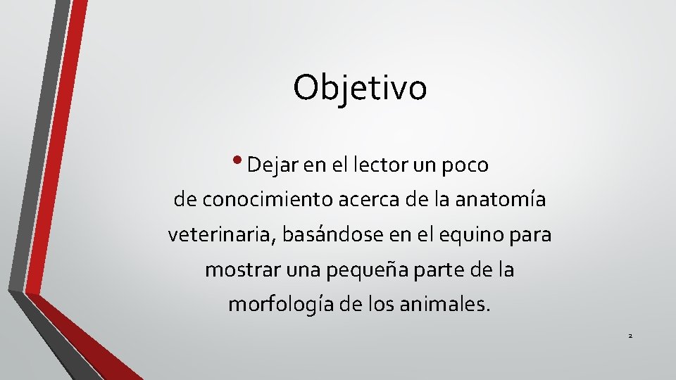 Objetivo • Dejar en el lector un poco de conocimiento acerca de la anatomía