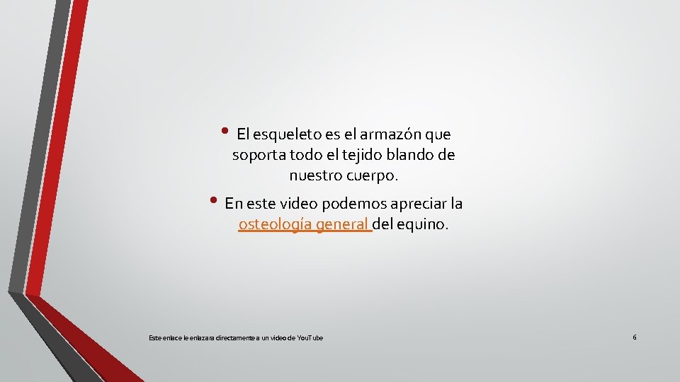  • El esqueleto es el armazón que soporta todo el tejido blando de