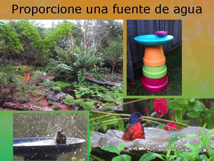 Proporcione una fuente de agua 