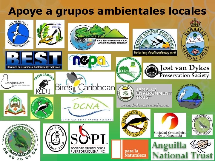 Apoye a grupos ambientales locales 