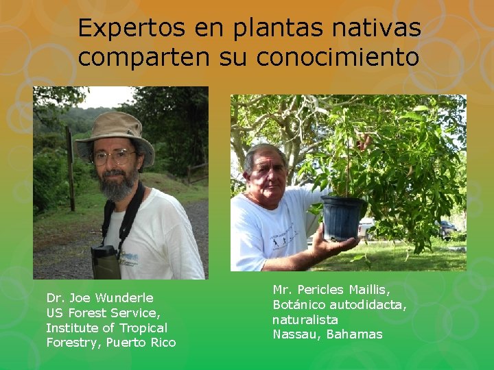 Expertos en plantas nativas comparten su conocimiento Dr. Joe Wunderle US Forest Service, Institute