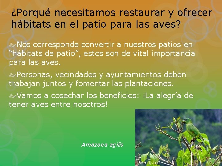 ¿Porqué necesitamos restaurar y ofrecer hábitats en el patio para las aves? Nos corresponde