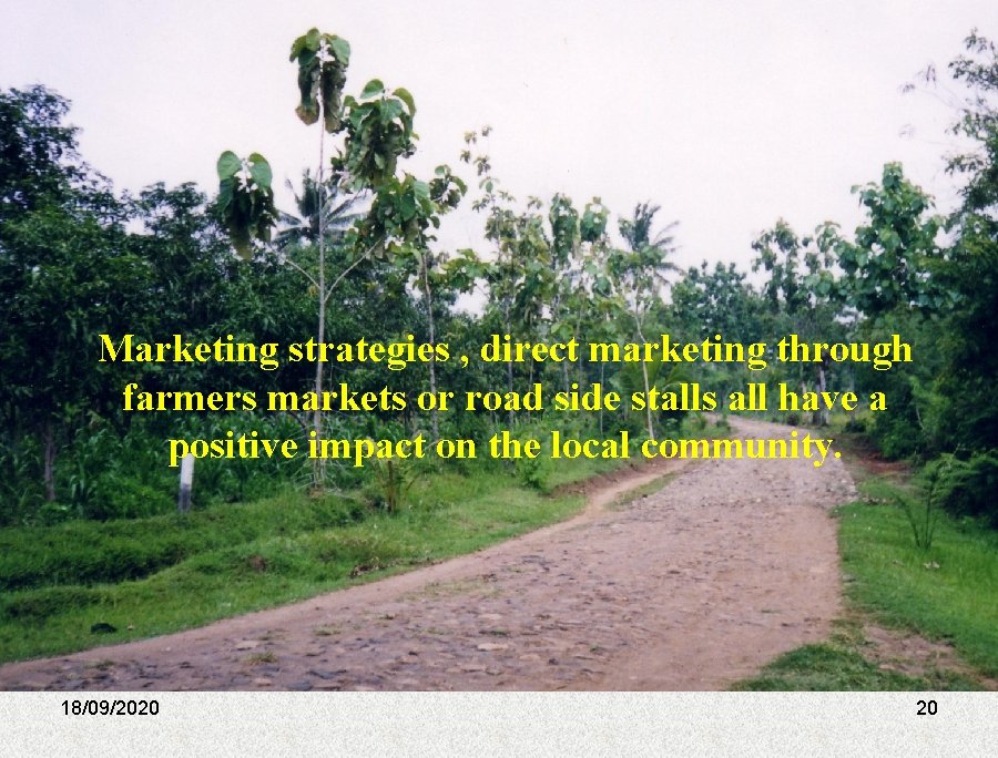 Marketing strategies , direct marketing through farmers markets or road side stalls all have