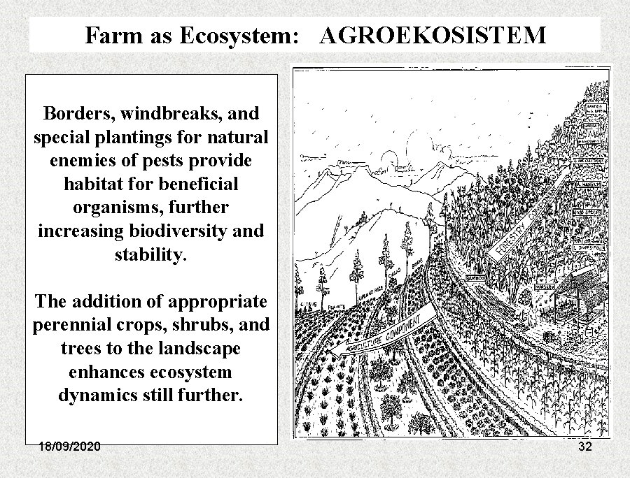 Farm as Ecosystem: AGROEKOSISTEM Borders, windbreaks, and special plantings for natural enemies of pests