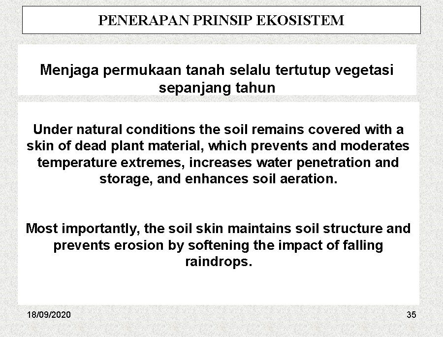 PENERAPAN PRINSIP EKOSISTEM Menjaga permukaan tanah selalu tertutup vegetasi sepanjang tahun Under natural conditions