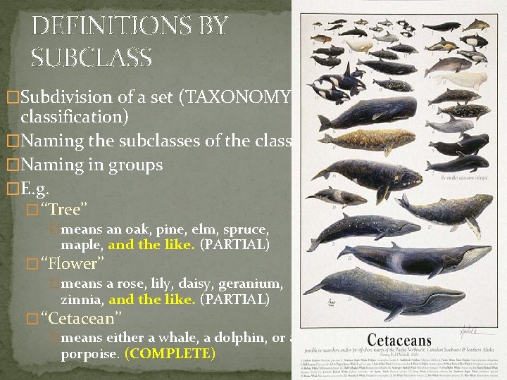 DEFINITIONS BY SUBCLASS �Subdivision of a set (TAXONOMY: classification) �Naming the subclasses of the