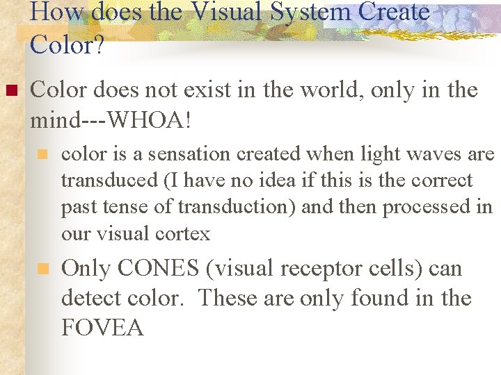 How does the Visual System Create Color? n Color does not exist in the