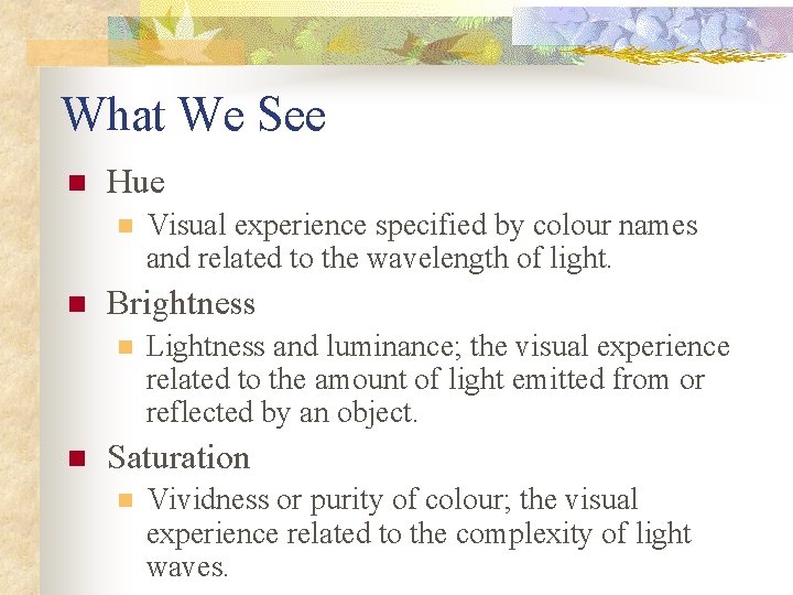 What We See n Hue n n Brightness n n Visual experience specified by