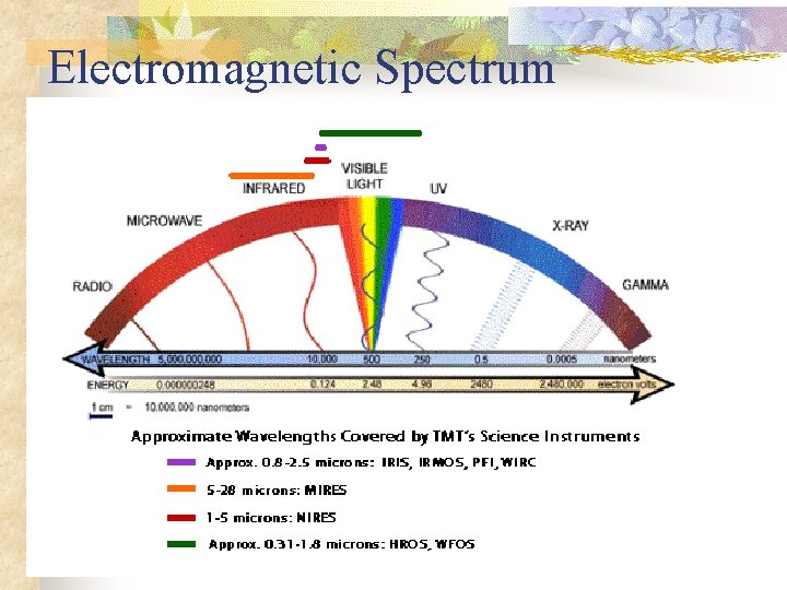 Electromagnetic Spectrum 