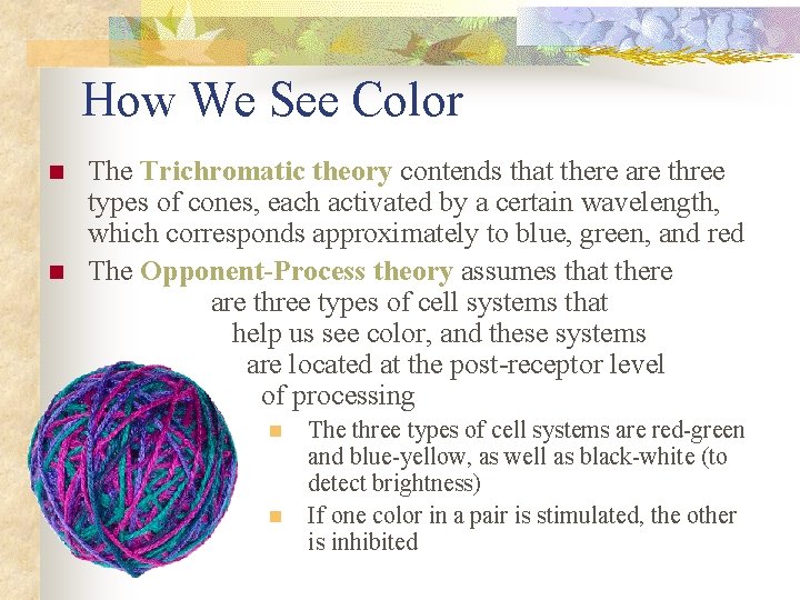How We See Color n n The Trichromatic theory contends that there are three