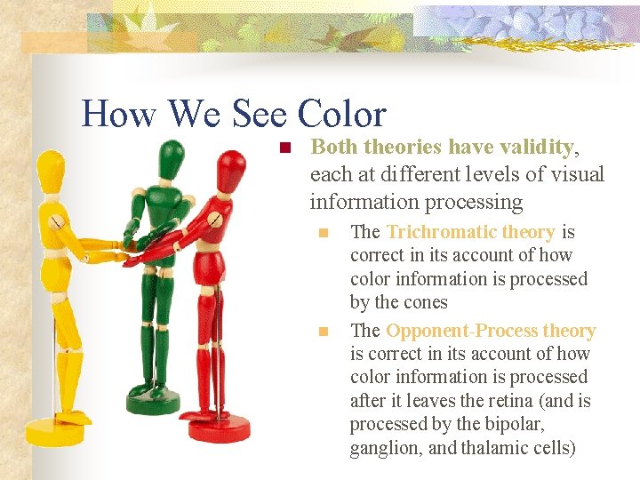 How We See Color n Both theories have validity, each at different levels of