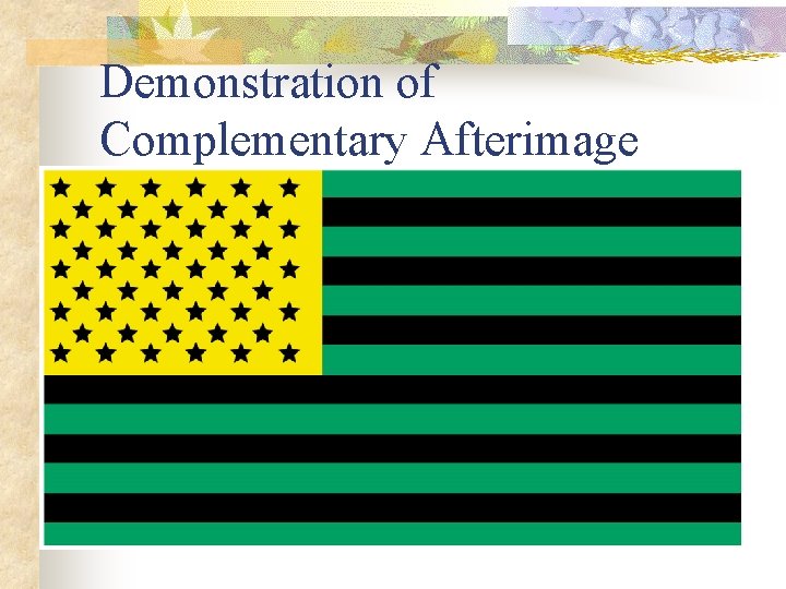 Demonstration of Complementary Afterimage 