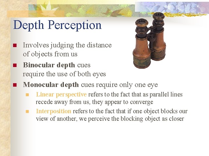 Depth Perception n Involves judging the distance of objects from us Binocular depth cues