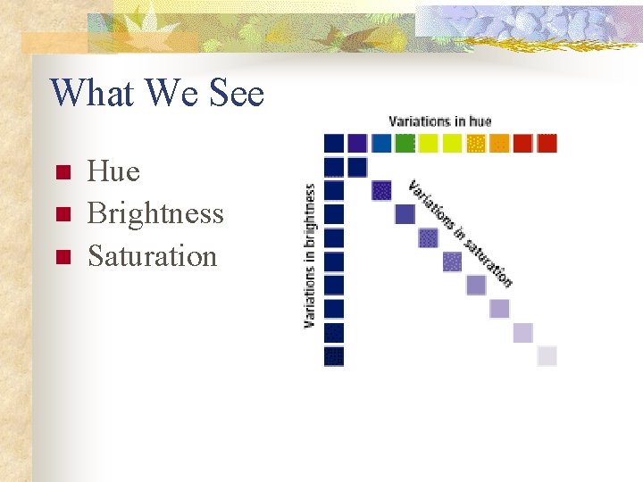 What We See n n n Hue Brightness Saturation 