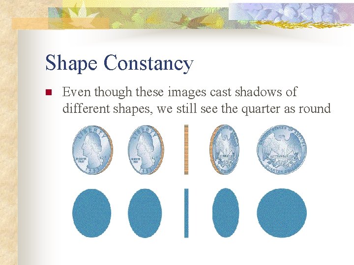 Shape Constancy n Even though these images cast shadows of different shapes, we still