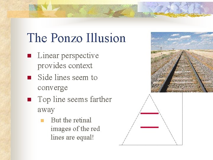 The Ponzo Illusion n Linear perspective provides context Side lines seem to converge Top