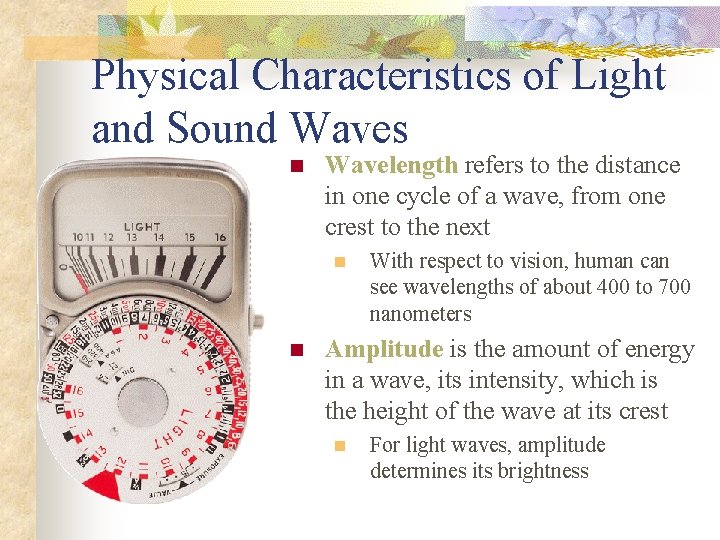 Physical Characteristics of Light and Sound Waves n Wavelength refers to the distance in