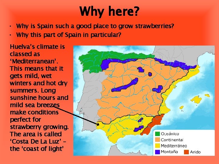 Why here? • Why is Spain such a good place to grow strawberries? •