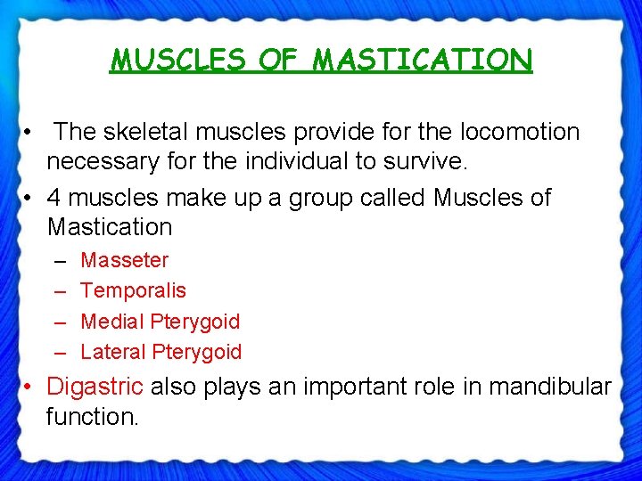 MUSCLES OF MASTICATION • The skeletal muscles provide for the locomotion necessary for the