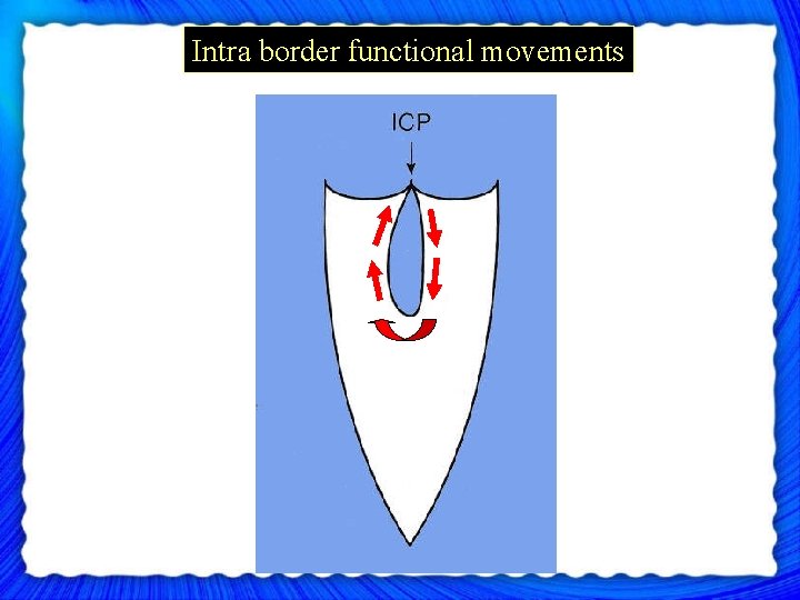 Intra border functional movements 